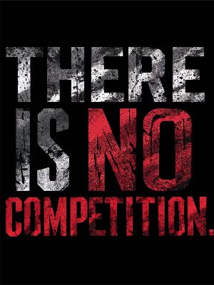 There is no competition typoart